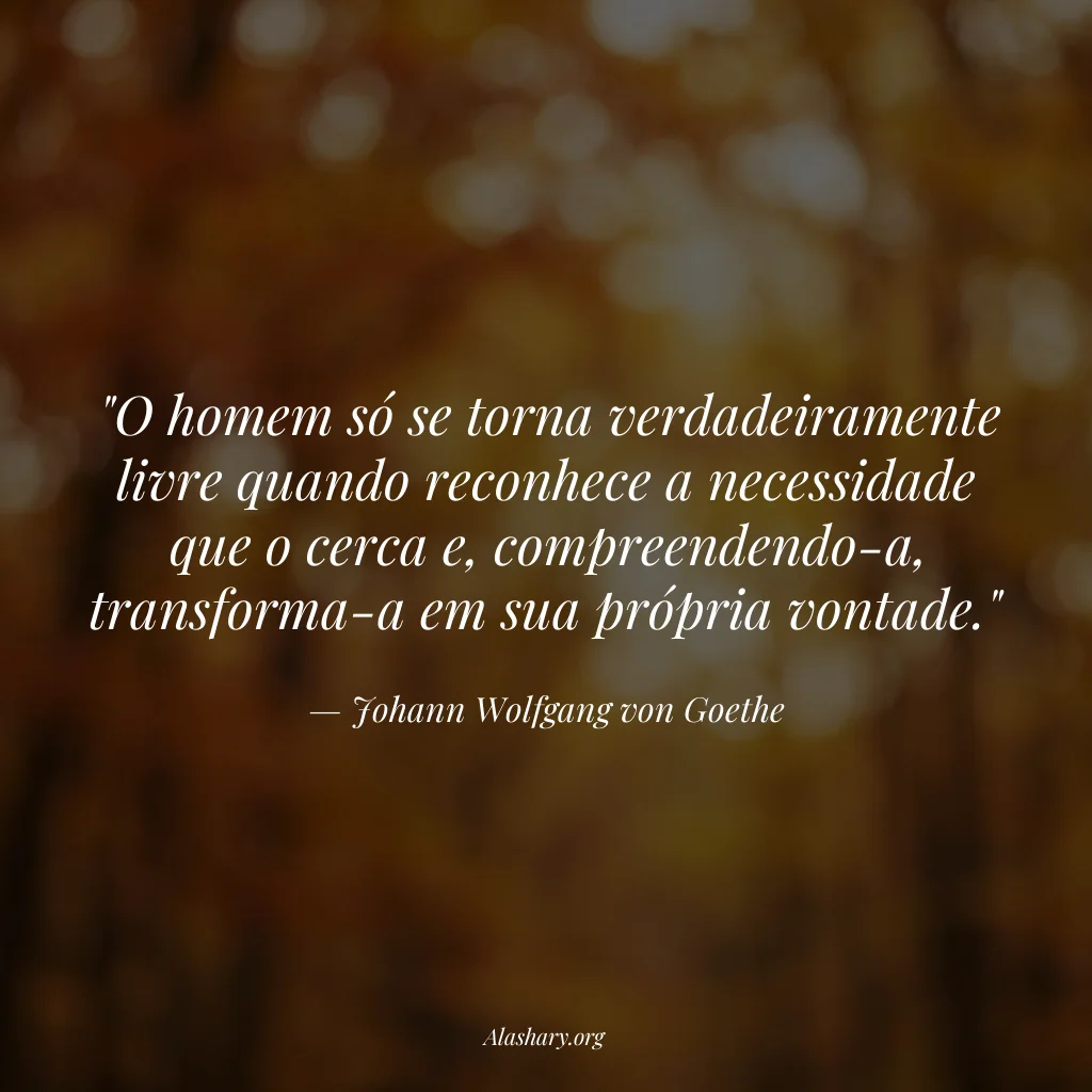 Frase de Johann Wolfgang von Goethe