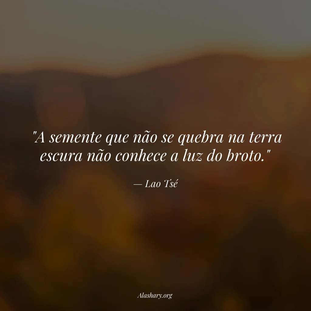 Frase de Lao Tsé
