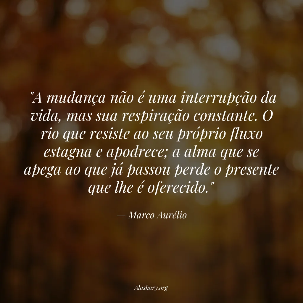 Frase de Marco Aurélio