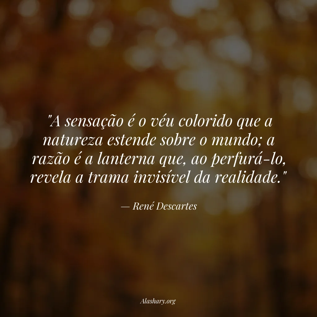 Frase de René Descartes