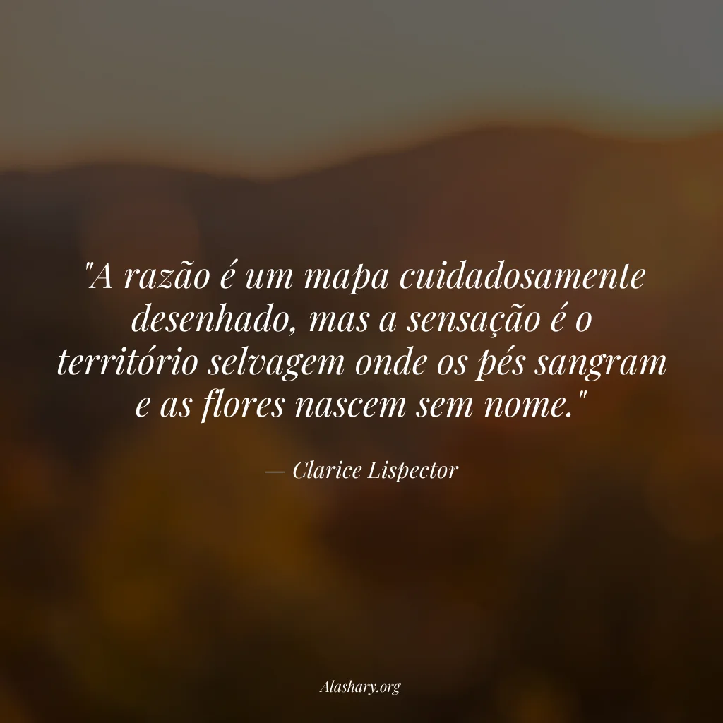 Frase de Clarice Lispector