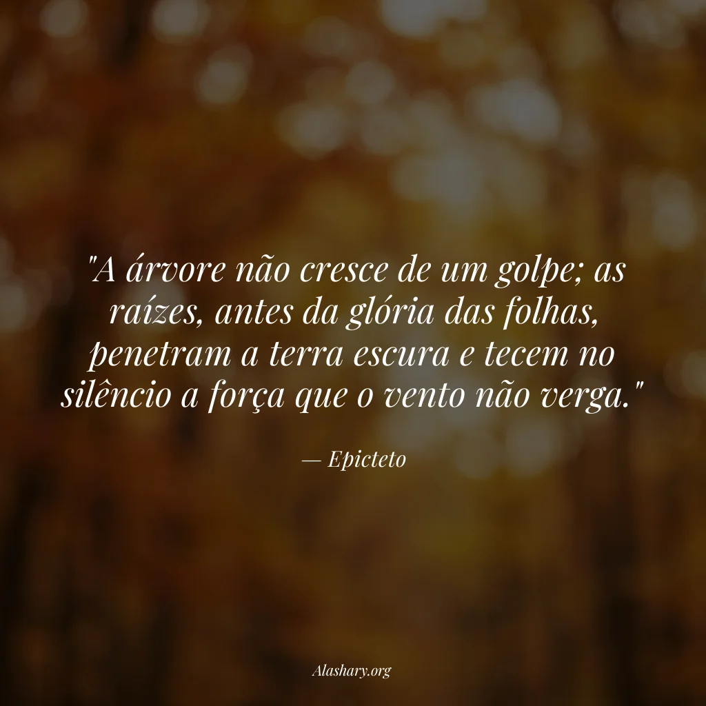Frase de Epicteto
