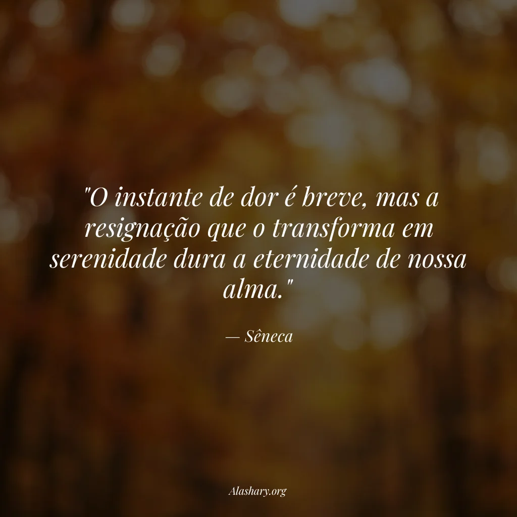 Frase de Sêneca