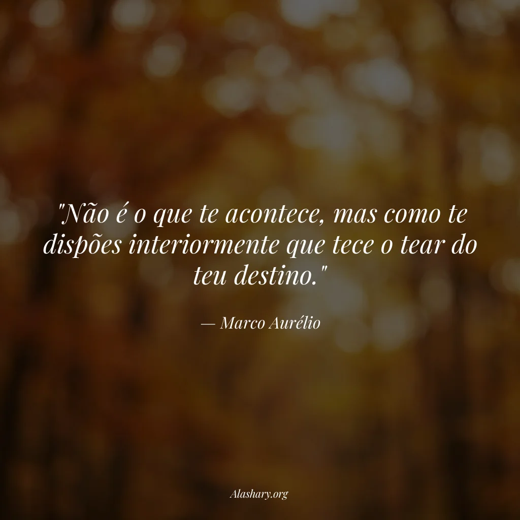 Frase de Marco Aurélio