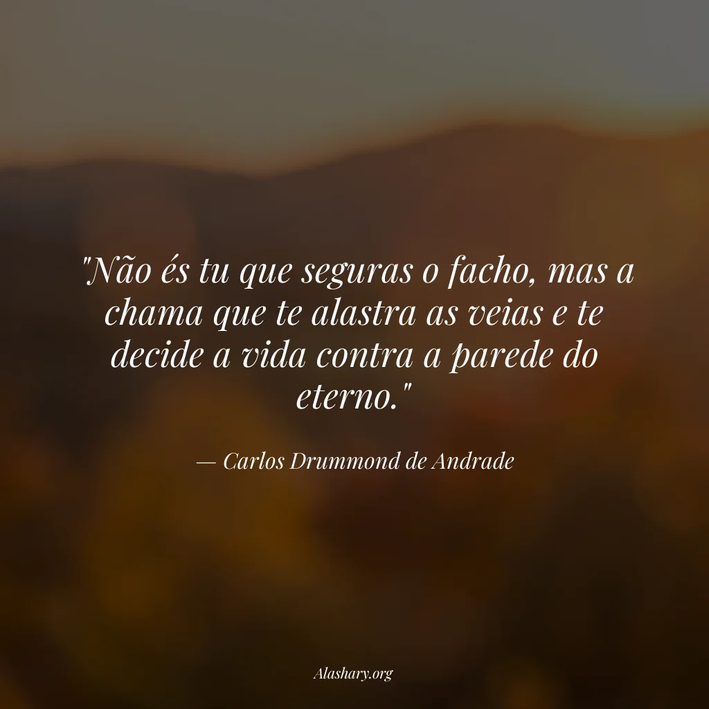 Frase de Carlos Drummond de Andrade